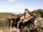 Dog Blogger & dogs
